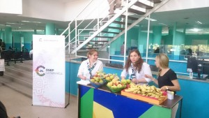 alimentacion_saludable